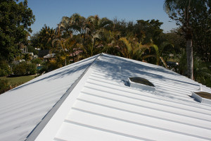 Metal Master Shop - example of roof ridge